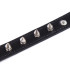 COLLARS