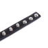 COLLARS