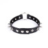COLLARS