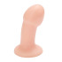 ANAL PLUG