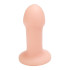 ANAL PLUG