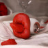 WOMEN TOYS