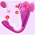 REMOTE VIBRATORS