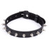 COLLARS