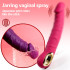 VIBRATOR