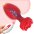 ANAL PLUG