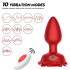 ANAL PLUG