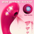 WOMEN TOYS