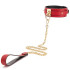 COLLARS