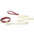 COLLARS
