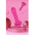 ANAL PLUG