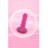 ANAL PLUG